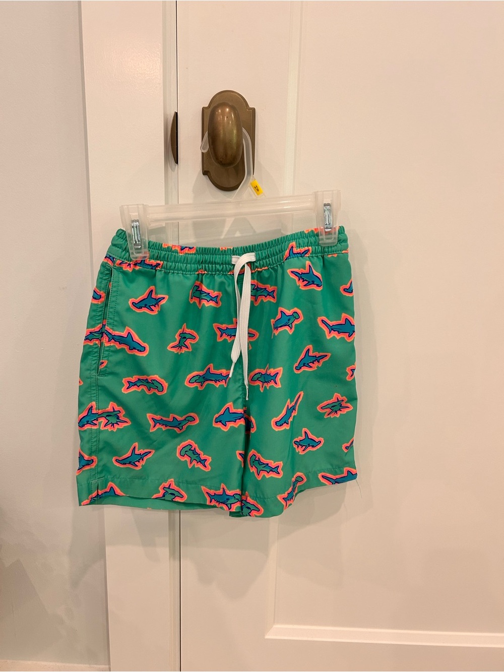 Boys Hammerhead Shark Chubbies